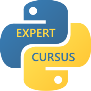 python expert